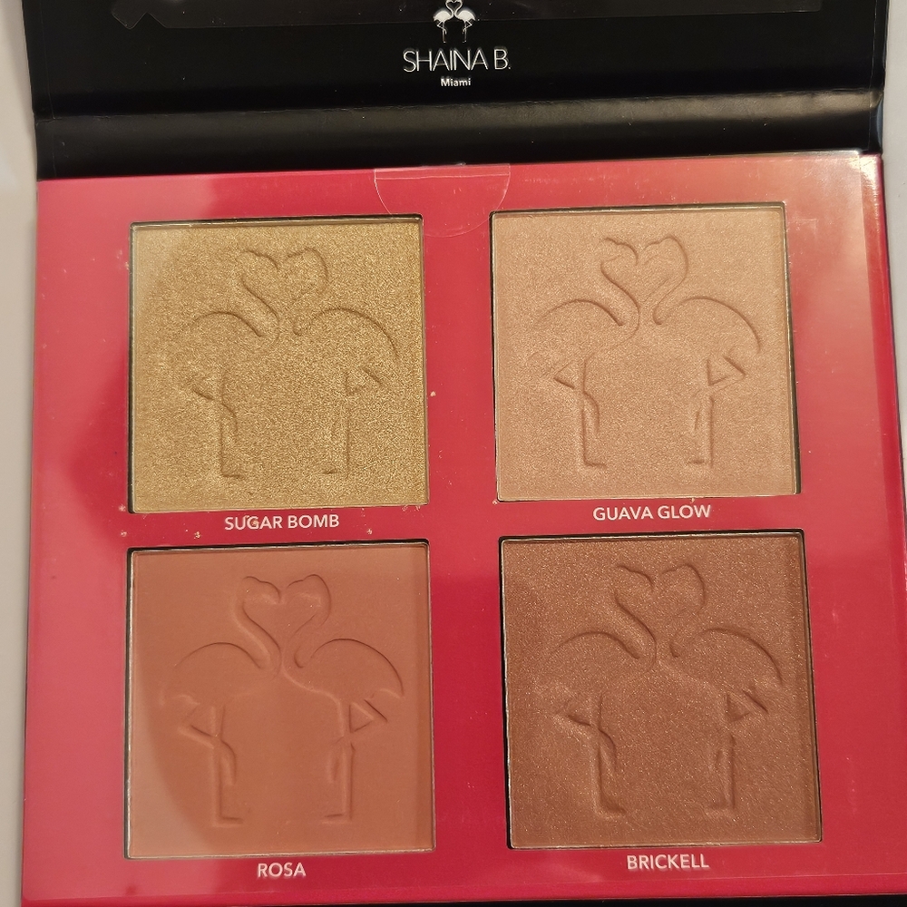 Shaina B Miami Blush and Highlight Palette - Picture 4 of 5